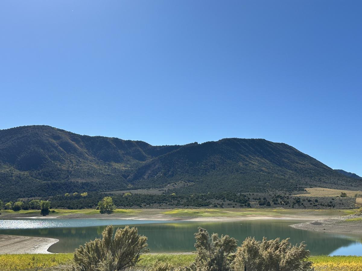 img data-cke-saved-src=